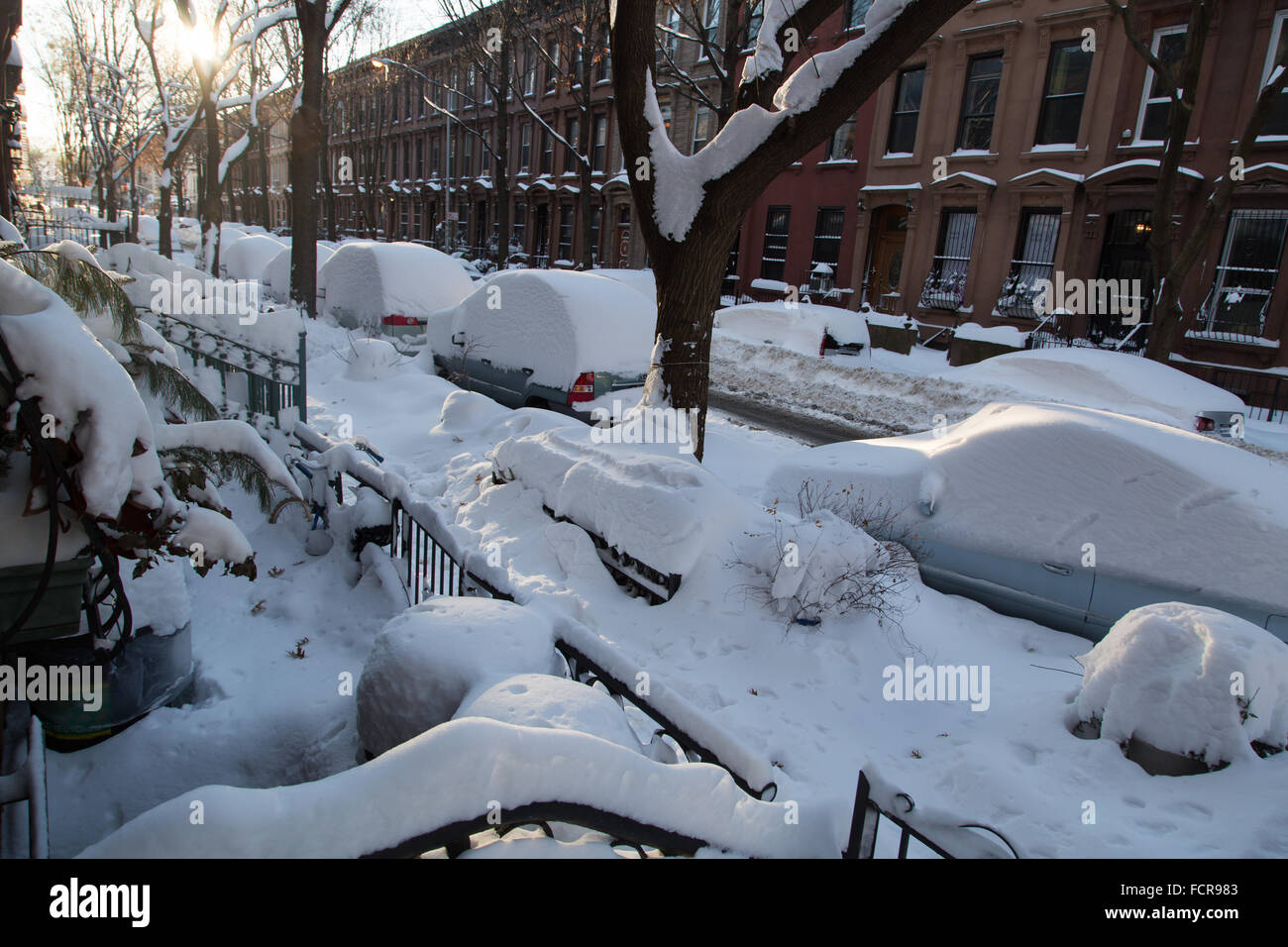 Winter storm Jonas burries New York recorded as the second biggest Snow ...