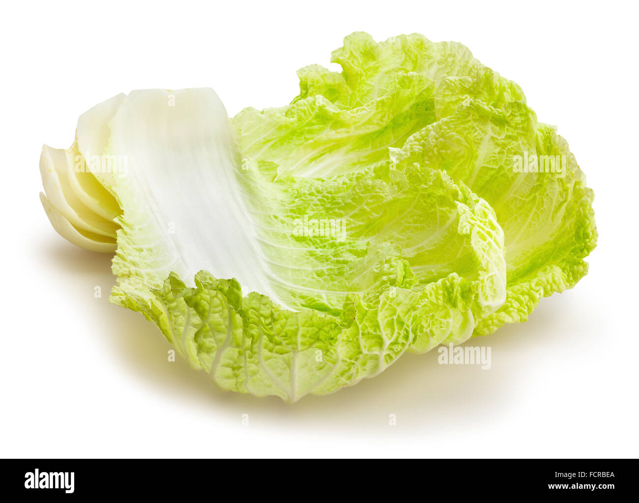 chinese cabbage isolated Stock Photo