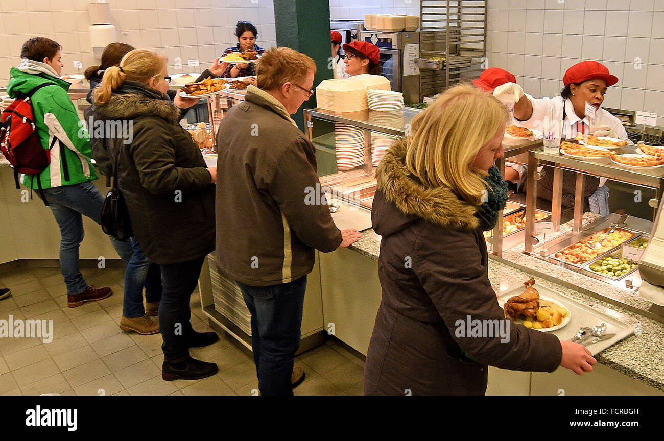 Chicken Eating Line Live chicken line new poultry hi-res stock photography and images - Alamy