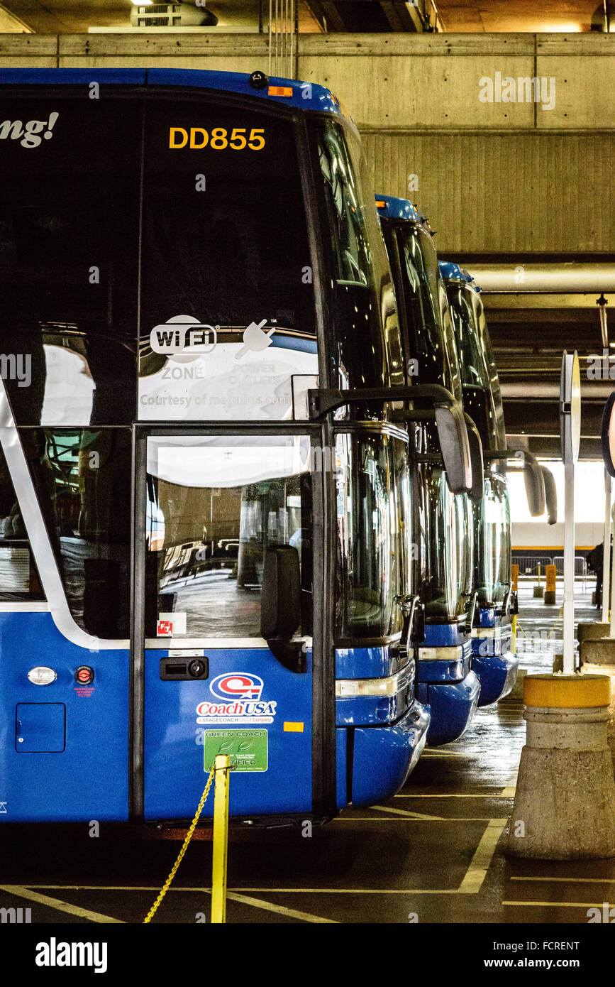 Megabus Buses in Union Station Bus Terminal, Washington DC Stock Photo Alamy