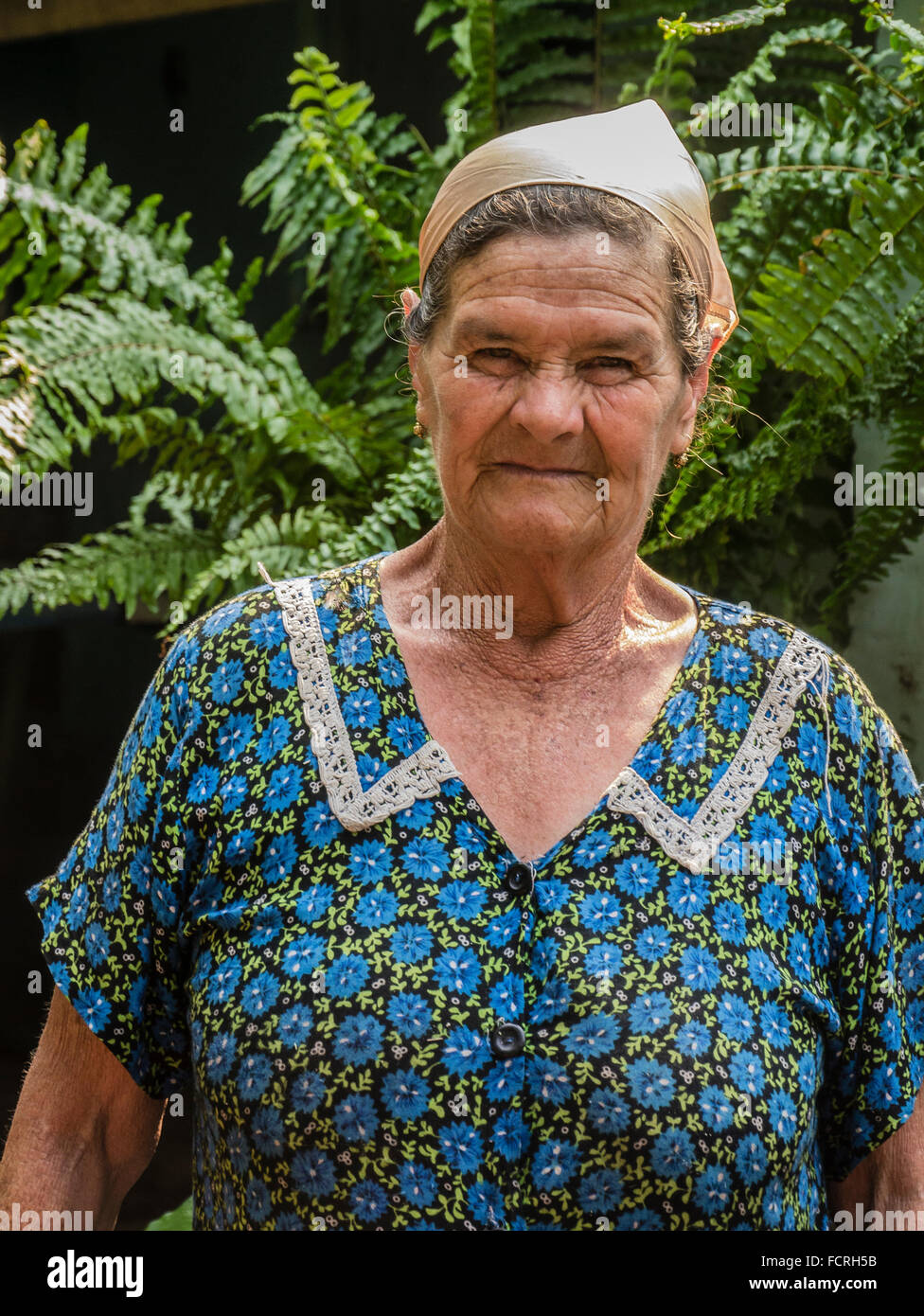 A senior citizen female farmer in Paraguay who produces mosto helado, a local beverage made from sugar cane juice. Stock Photo