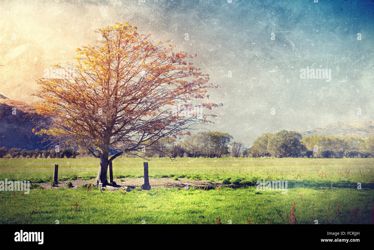 Natural beautiful landscape of mountain and forest Stock Photo - Alamy