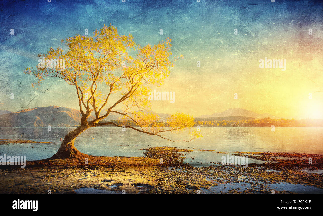 Natural beautiful landscape of mountain lake and forest Stock Photo - Alamy