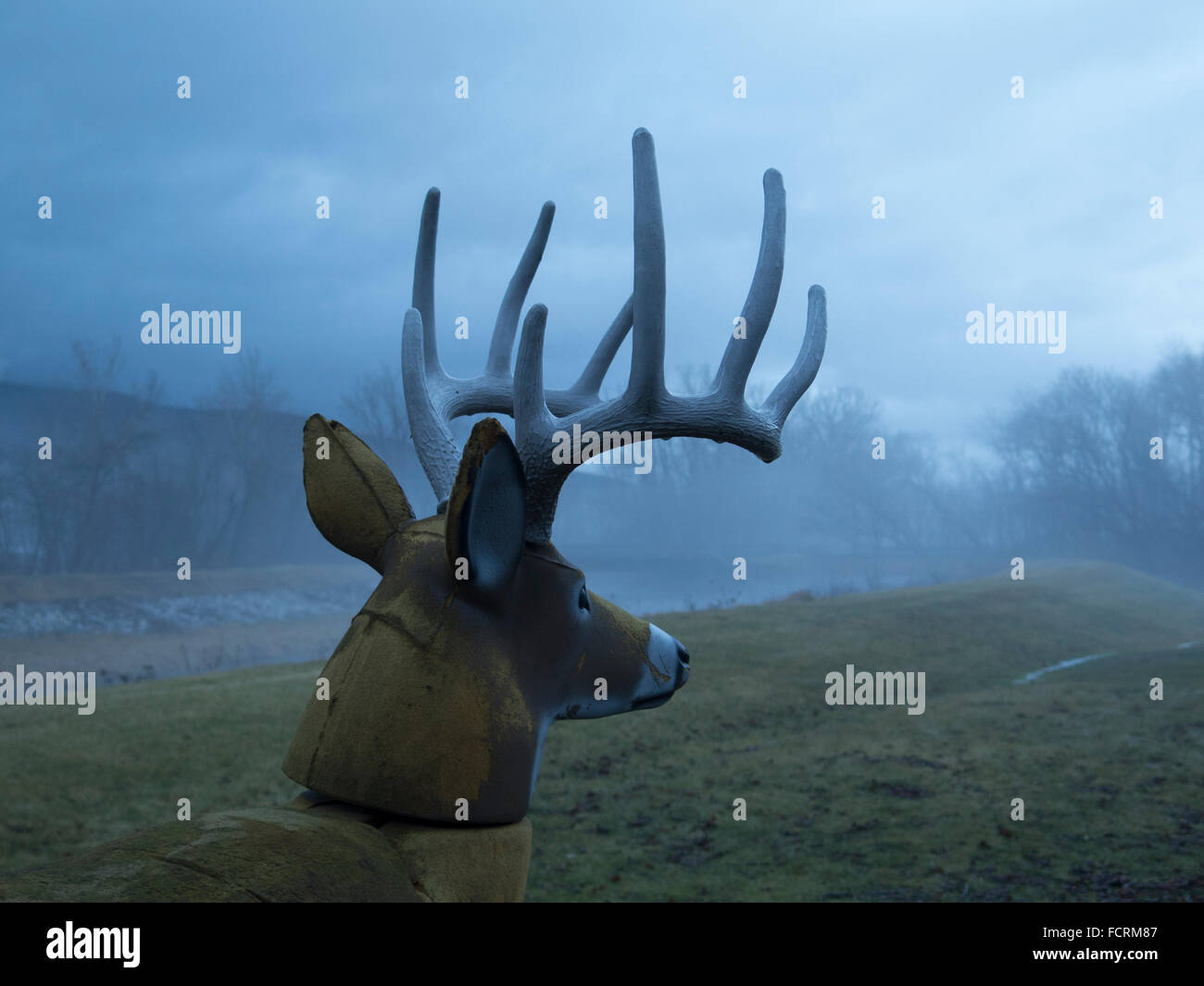 A deer practice target stands in a winter fog in rural Massachusetts. Stock Photo