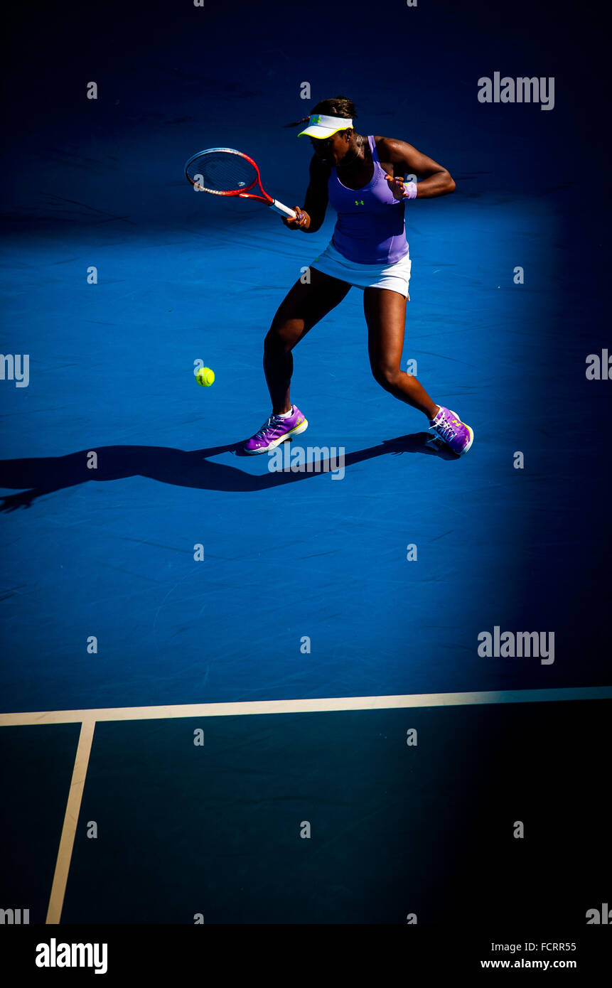 champion shoes womens 2013