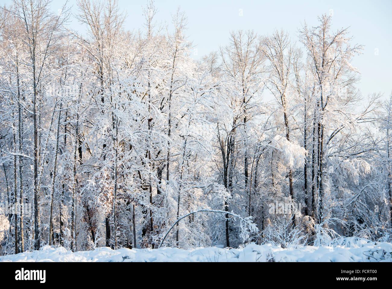 Ouachita hires stock photography and images Alamy