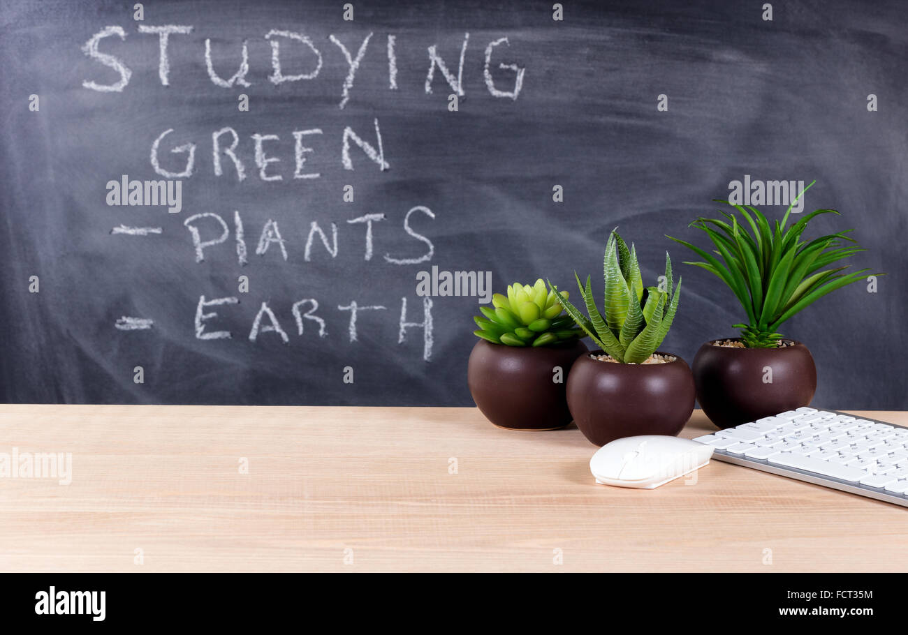 Classroom desktop displaying keyboard, mouse and plants with blackboard