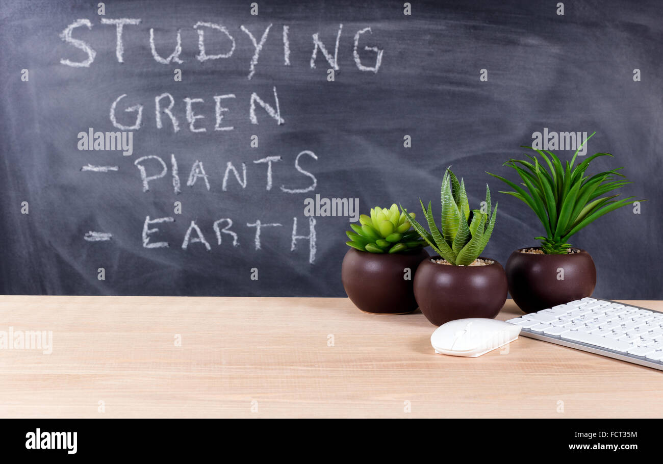Classroom desktop displaying keyboard, mouse and plants with blackboard, writing about green topics, in background. Stock Photo