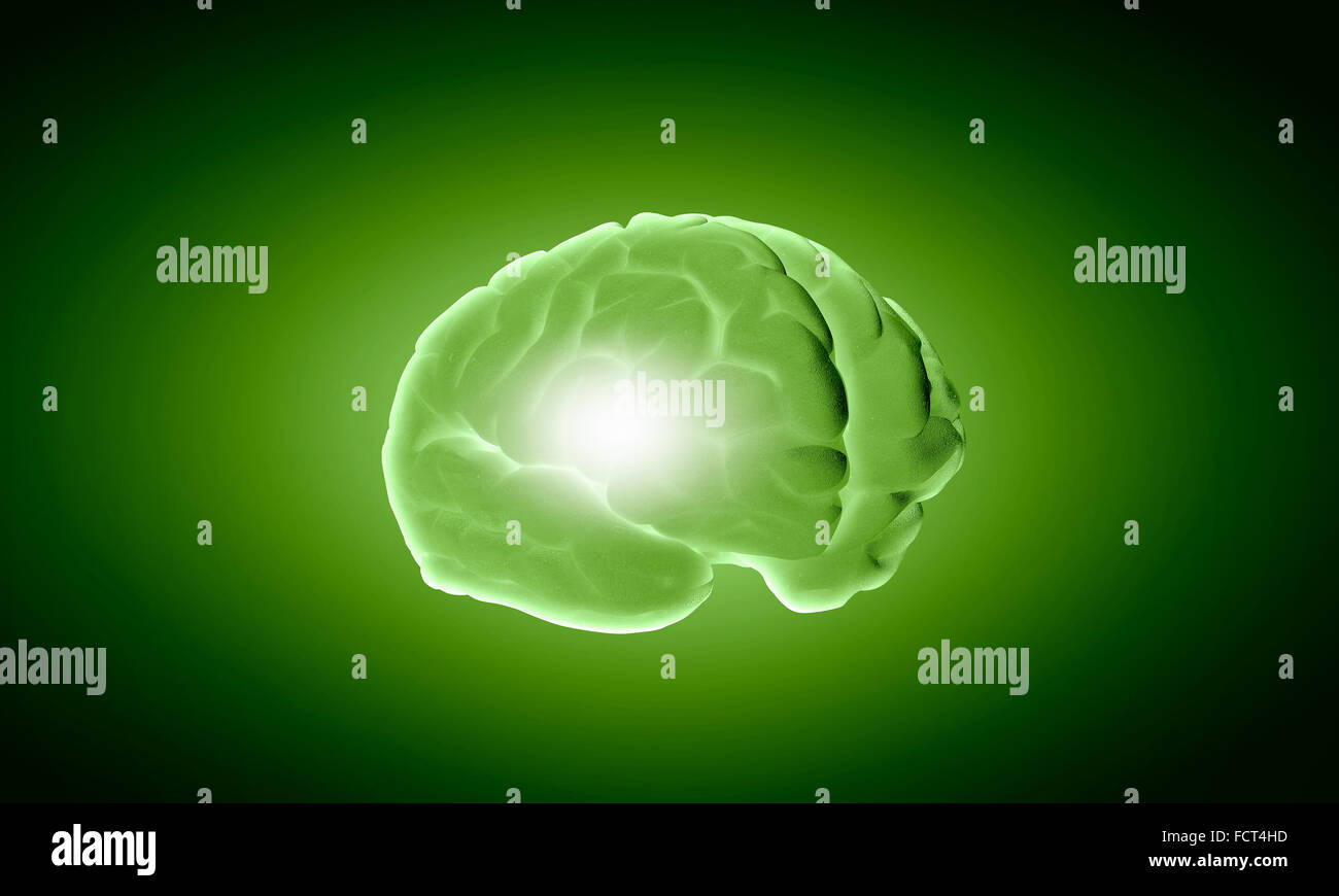 Green Python Brain Science image with human brain on green background Stock Photo - Alamy