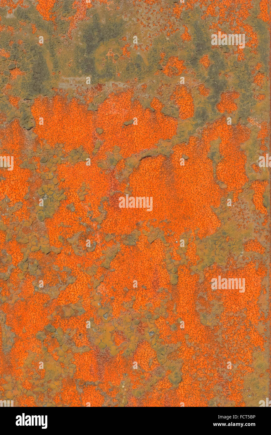 Natural Fractal Pattern of Corrosion Rust Formed by Weather Effects on Paint - Grunge - Fishery Equipment Panel Stock Photo