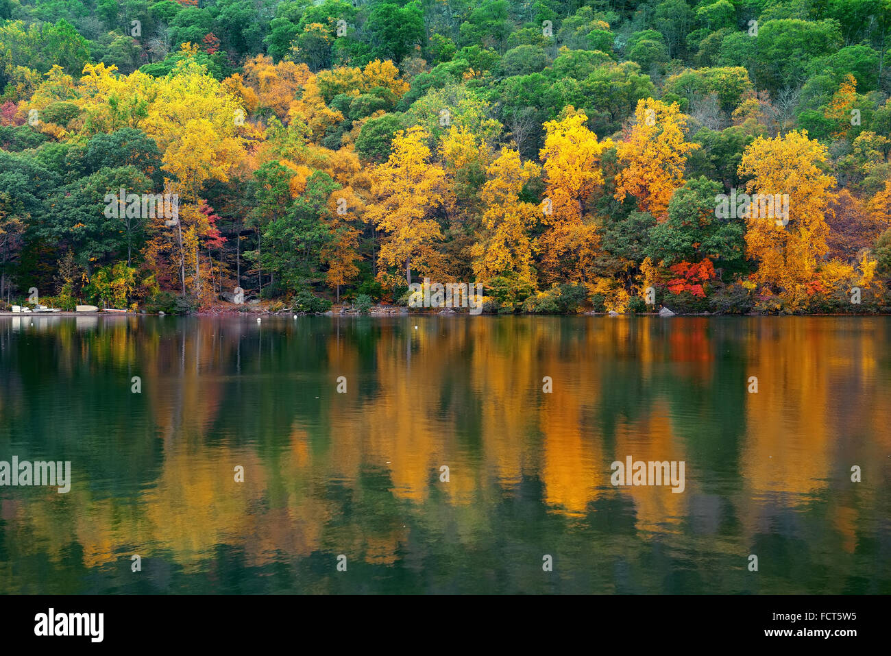 Autumn colorful foliage with lake reflection Stock Photo - Alamy