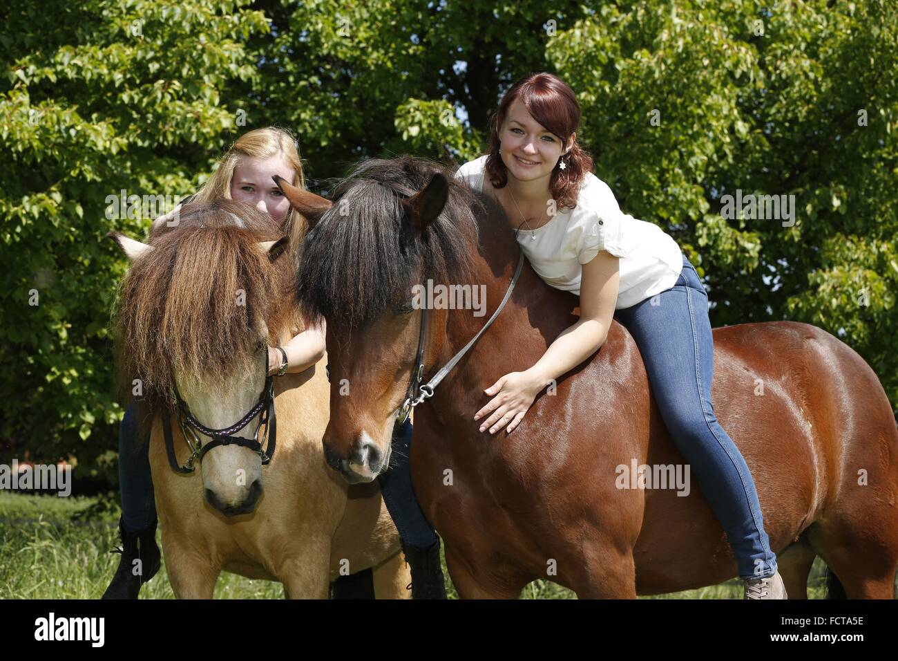 women rides Icelandic horses Stock Photo