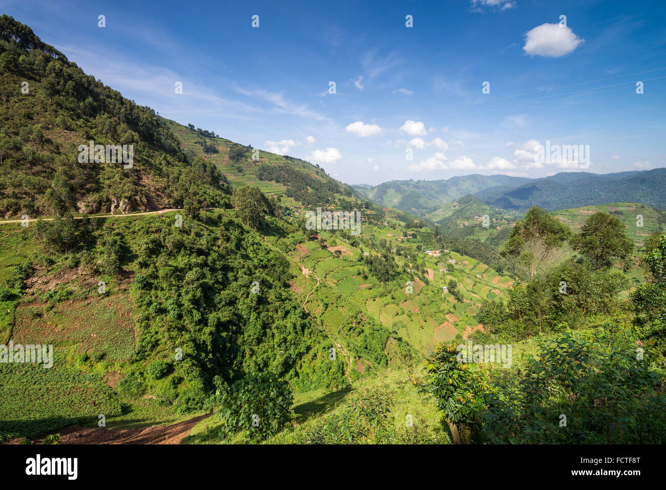 landscape with agricultural land, Bwindi National Park in southern Uganda, Africa Stock Photo