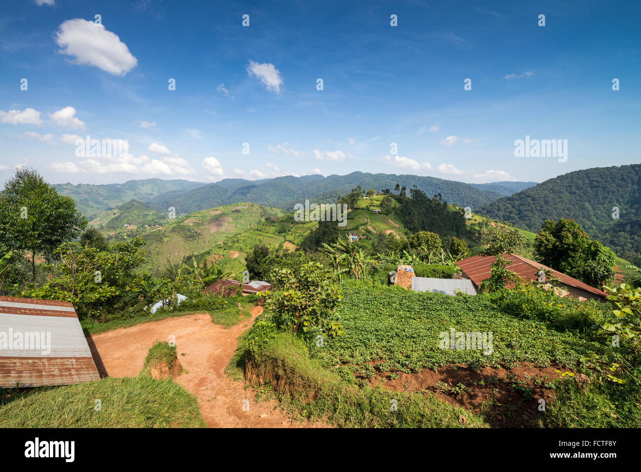landscape with agricultural land, Bwindi National Park in southern Uganda, Africa Stock Photo