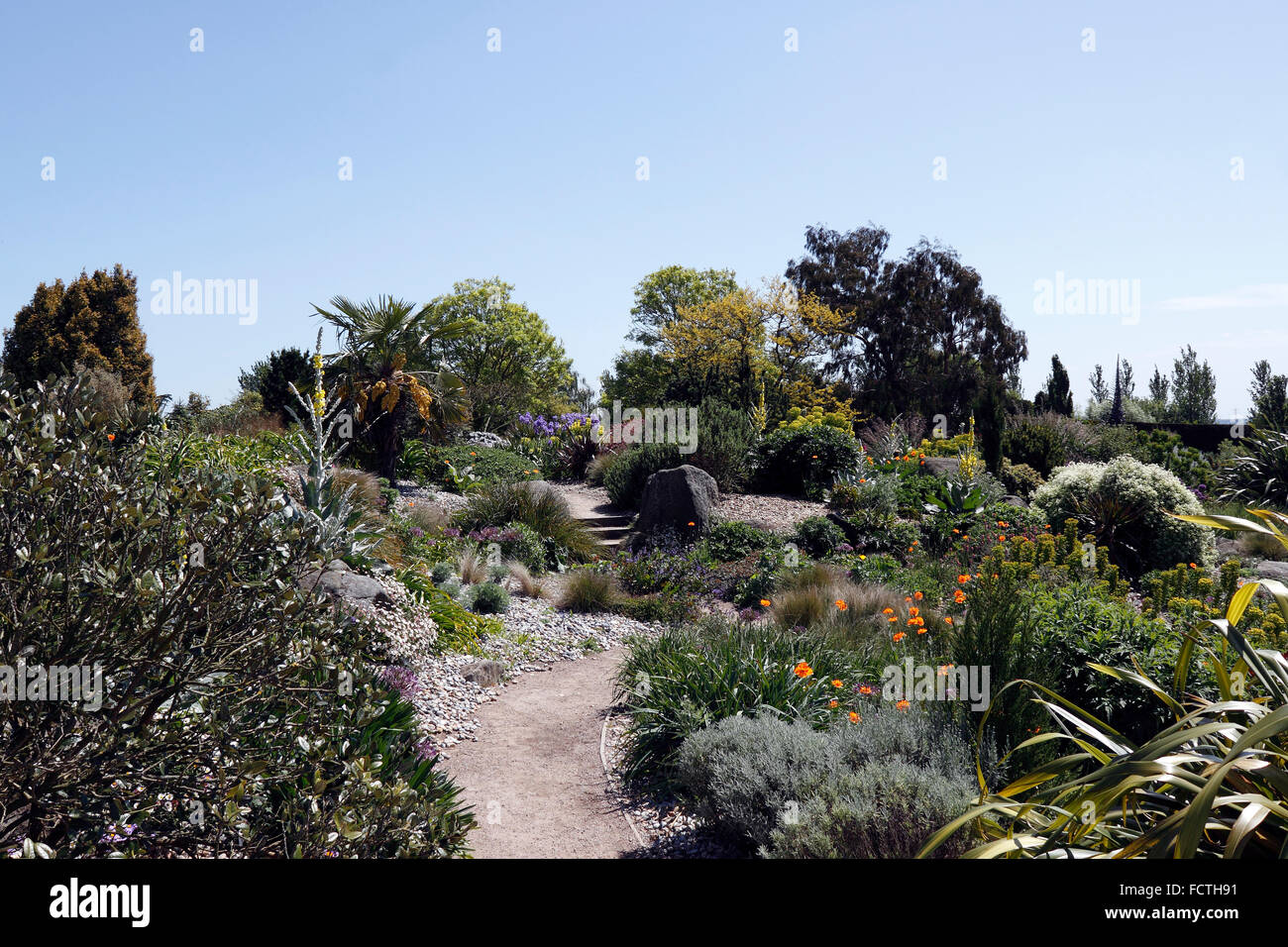 RHS HYDE HALL DRY GARDEN IN SPRING. ESSEX UK. Stock Photo