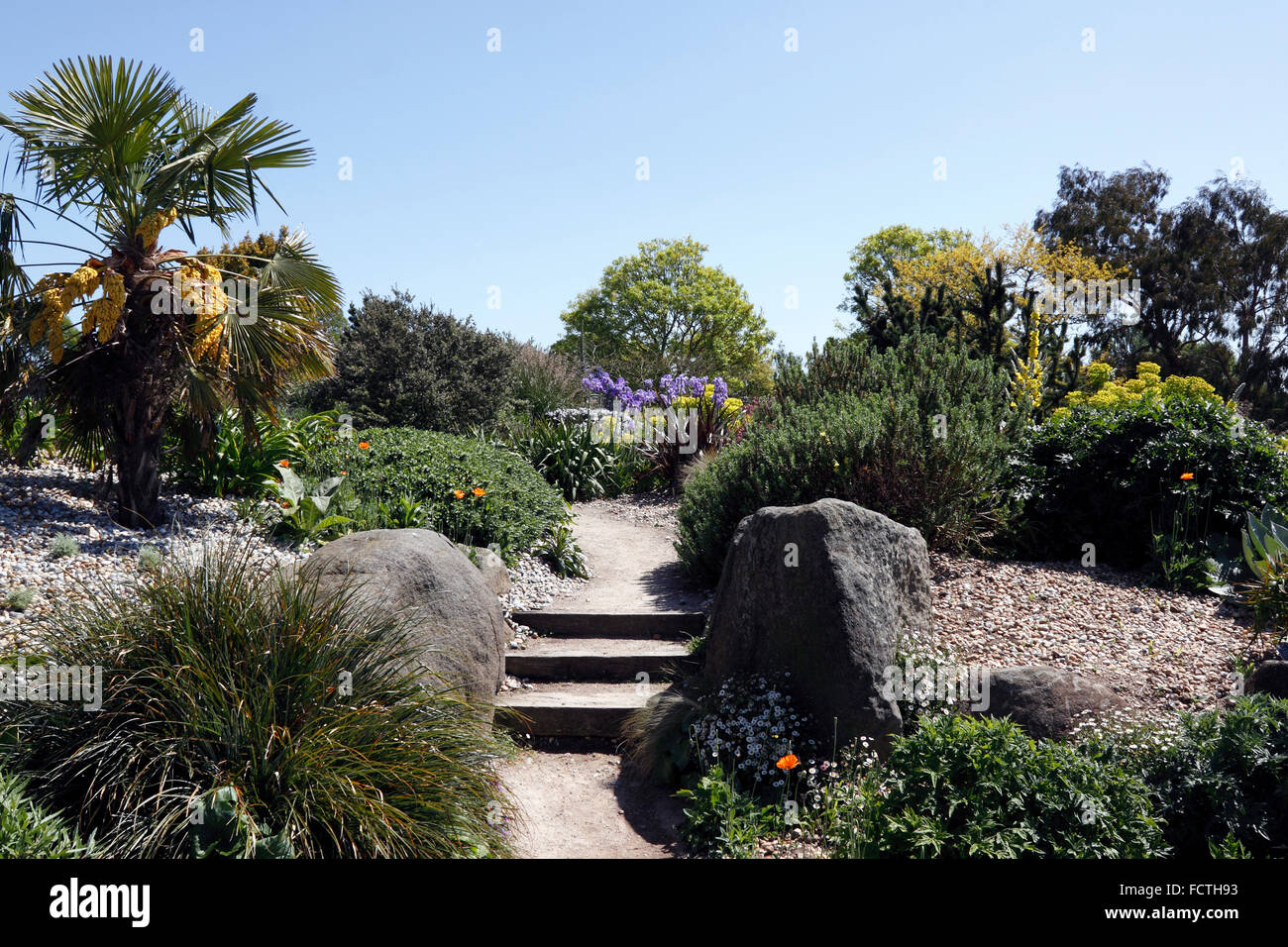 RHS HYDE HALL DRY GARDEN IN SPRING. ESSEX UK. Stock Photo