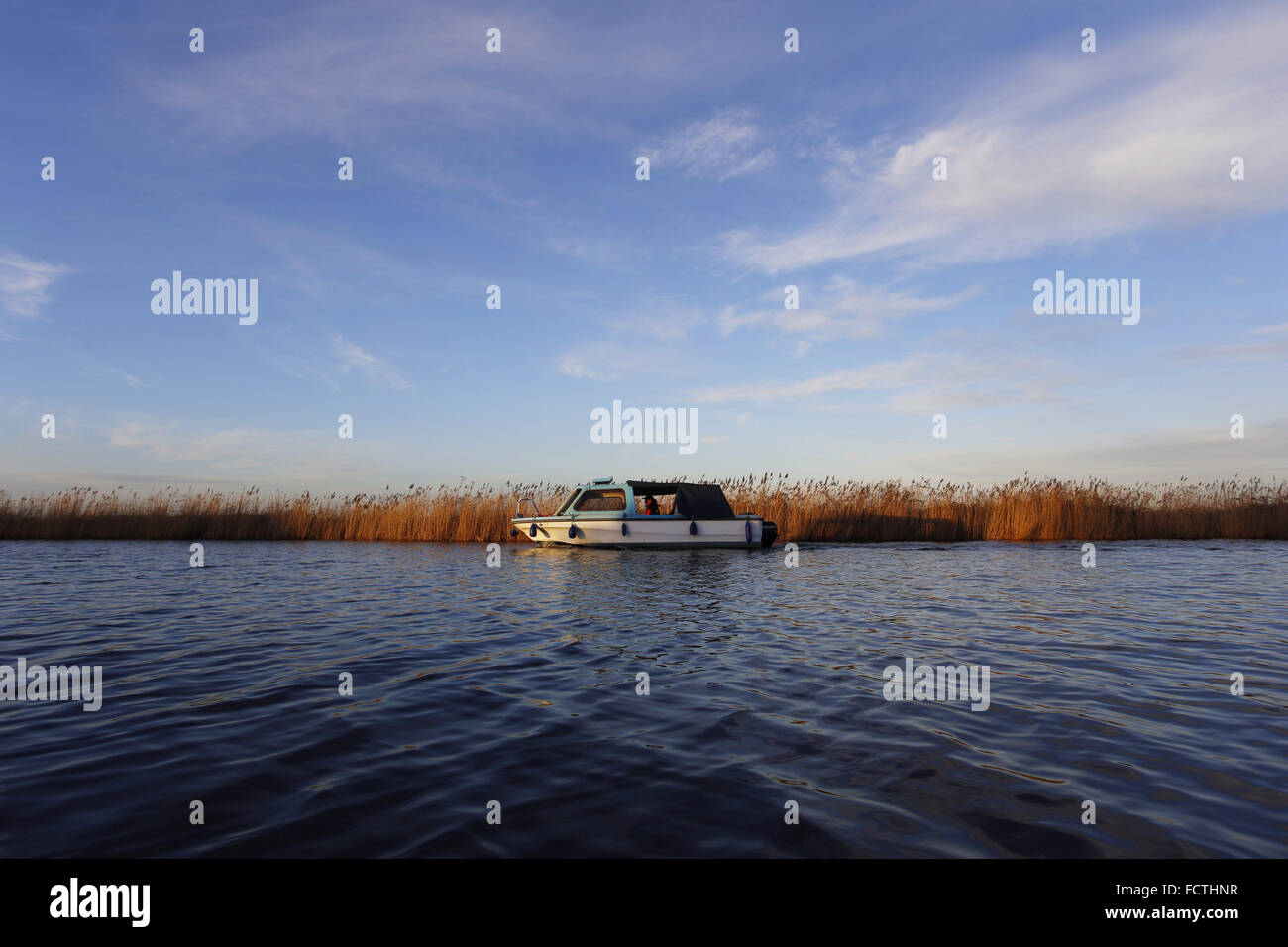 Norfolk Broads: Motor Cruiser on the River Thurne near Martham, Norfolk, Stock Photo