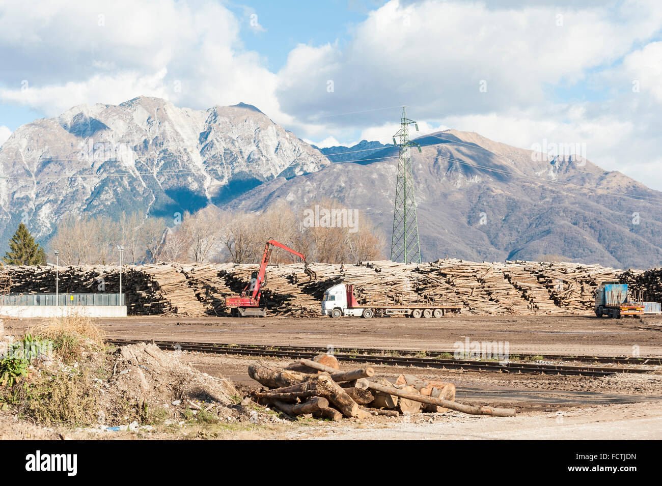 Storage of logs for the wood industry.   A crane loads trucks for transporting logs, in the background the mountains. Stock Photo