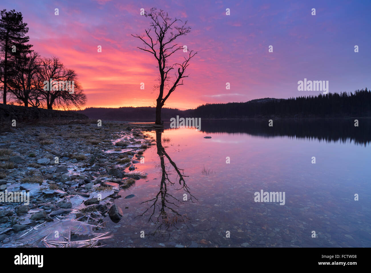 Sunrise over Loch Ard in The Lomond and Trossachs National Park, Scotland. Stock Photo