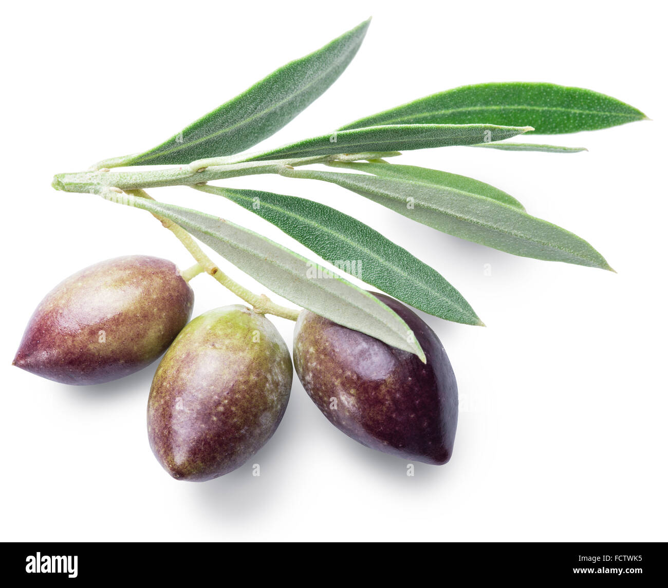 Three olives with leaves. File contains clipping paths Stock Photo Alamy