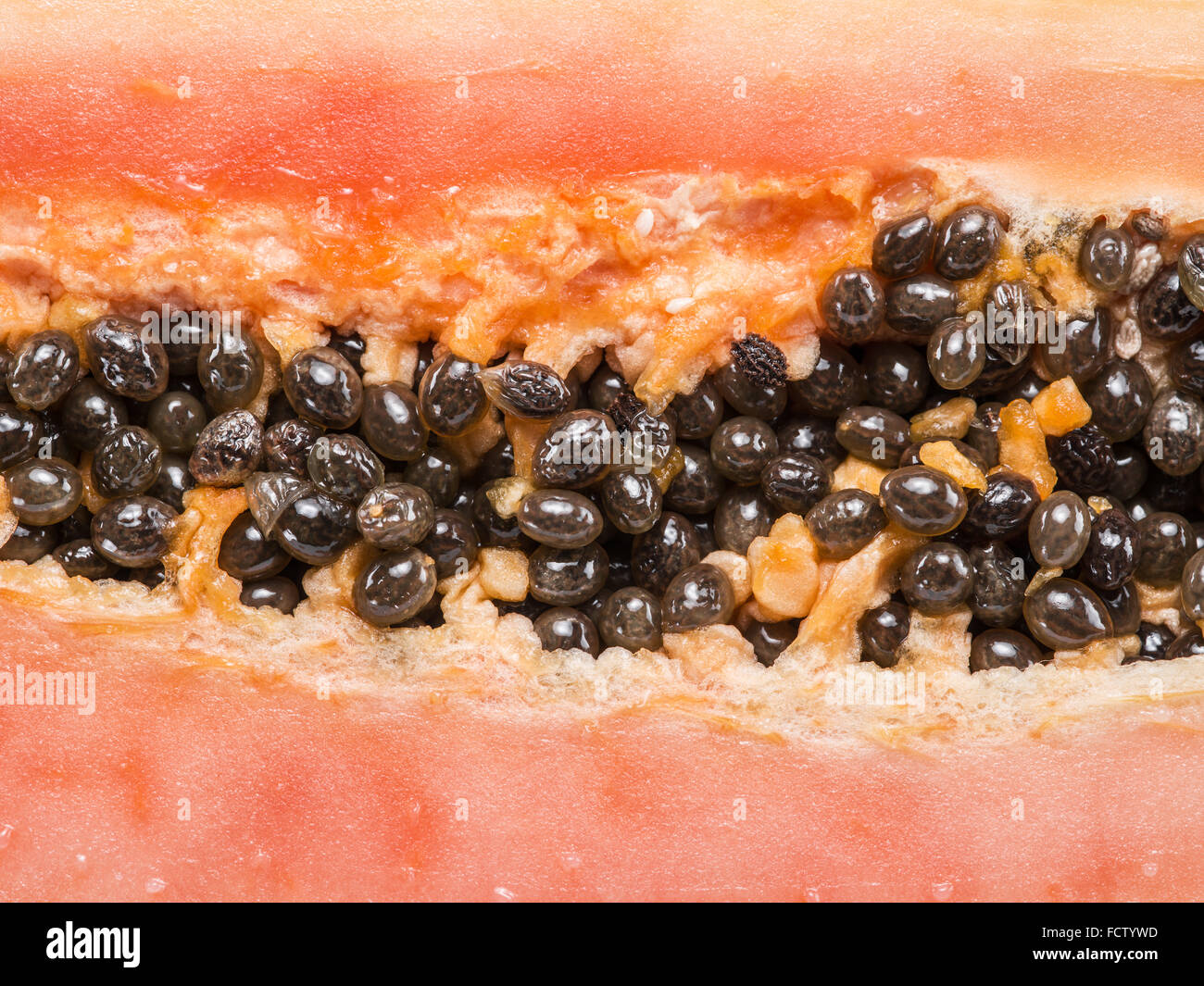 Macro picture of papaya fruit cut. Food background. Stock Photo