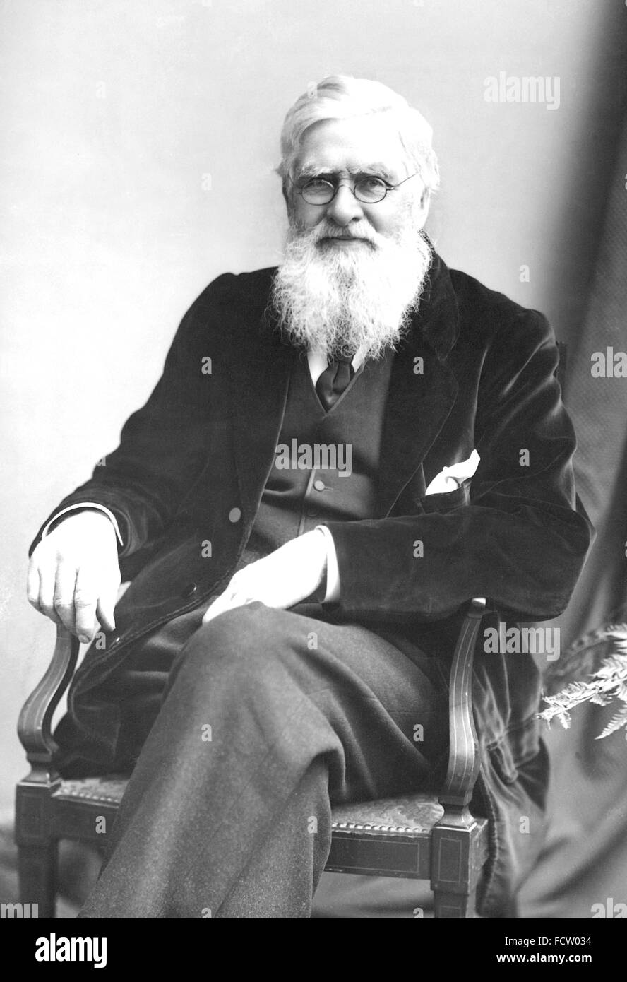 ALFRED RUSSEL WALLACE (1823-1913) Welsh naturalist, explorer and biologist about 1895 Stock Photo