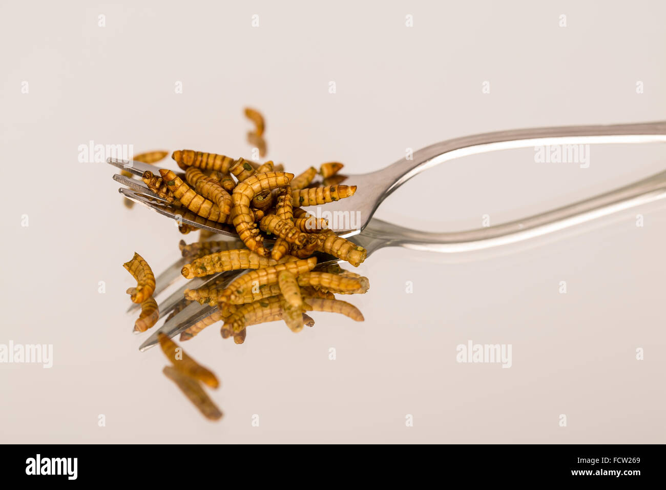Fried insect, Molitors, Food of the future Stock Photo Alamy
