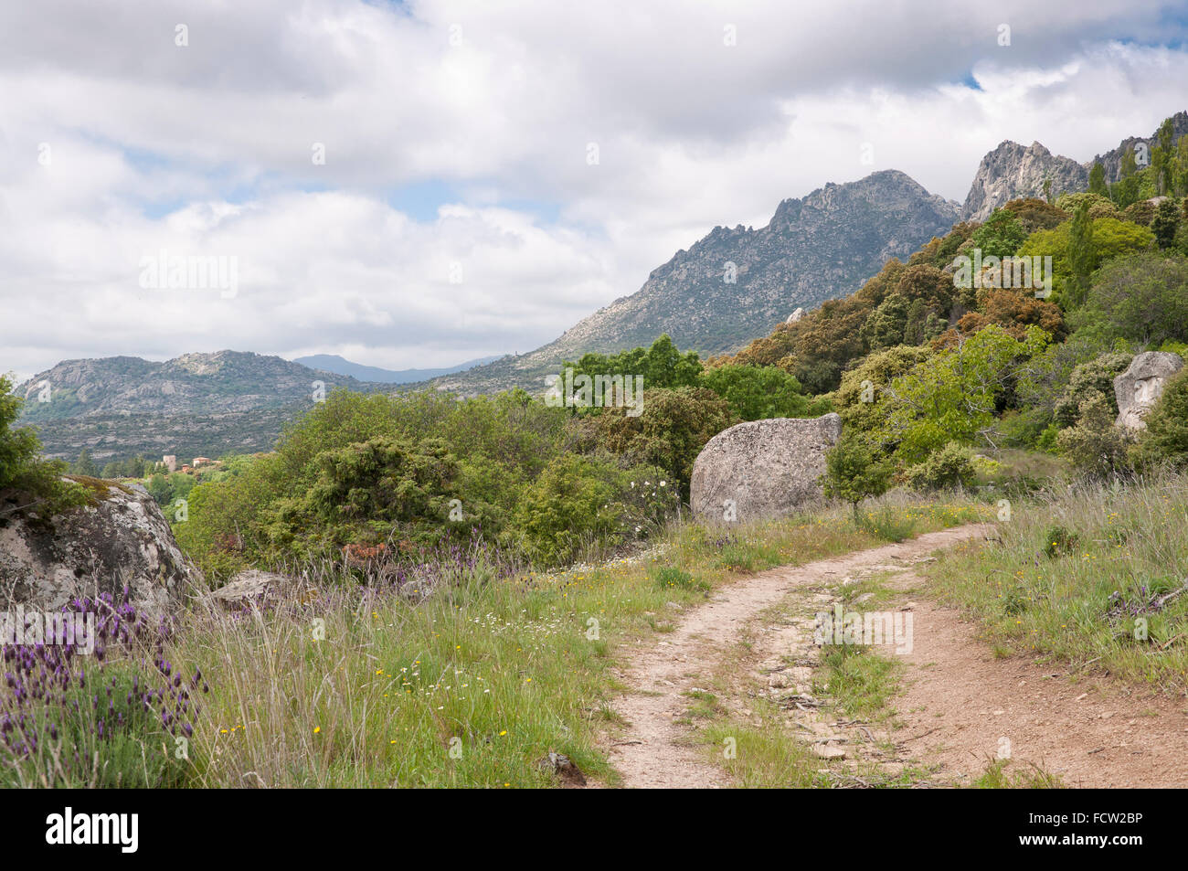 Dirt road in Sierra de la Cabrera, Madrid, Spain Stock Photo