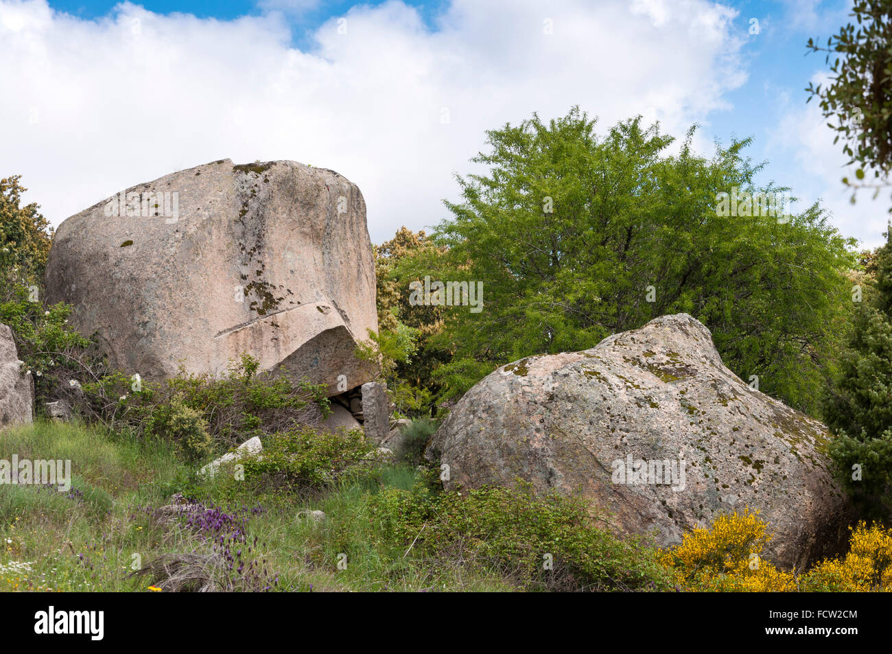 Granite boulders in Sierra de la Cabrera, Madrid, Spain Stock Photo