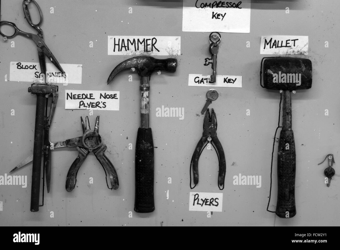 Hand tools arranged and labelled on a wall Stock Photo