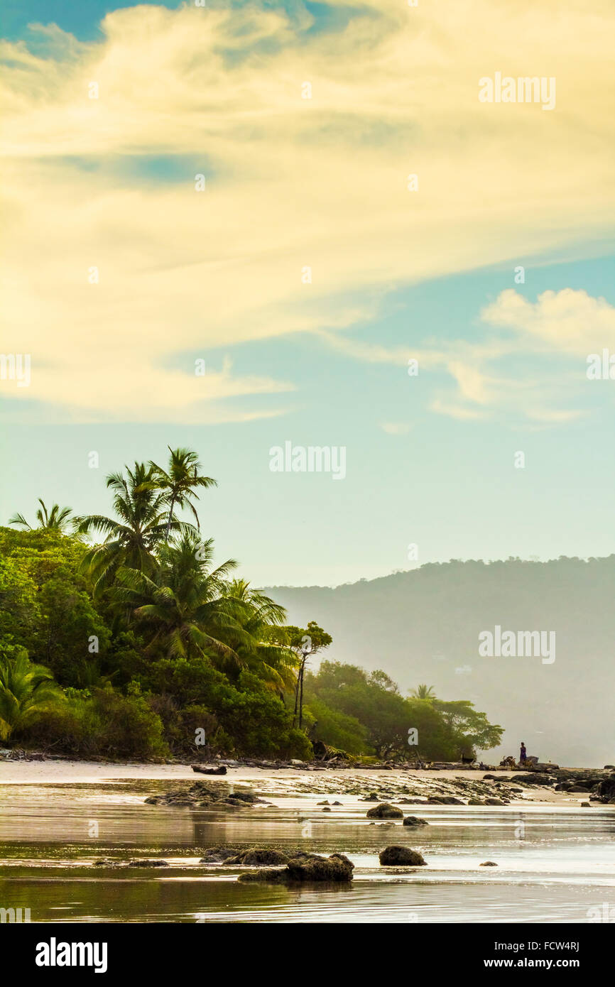Tall palms and jungle behind the beach at this popular south Nicoya Peninsula resort; Santa Teresa, Puntarenas, Costa Rica Stock Photo
