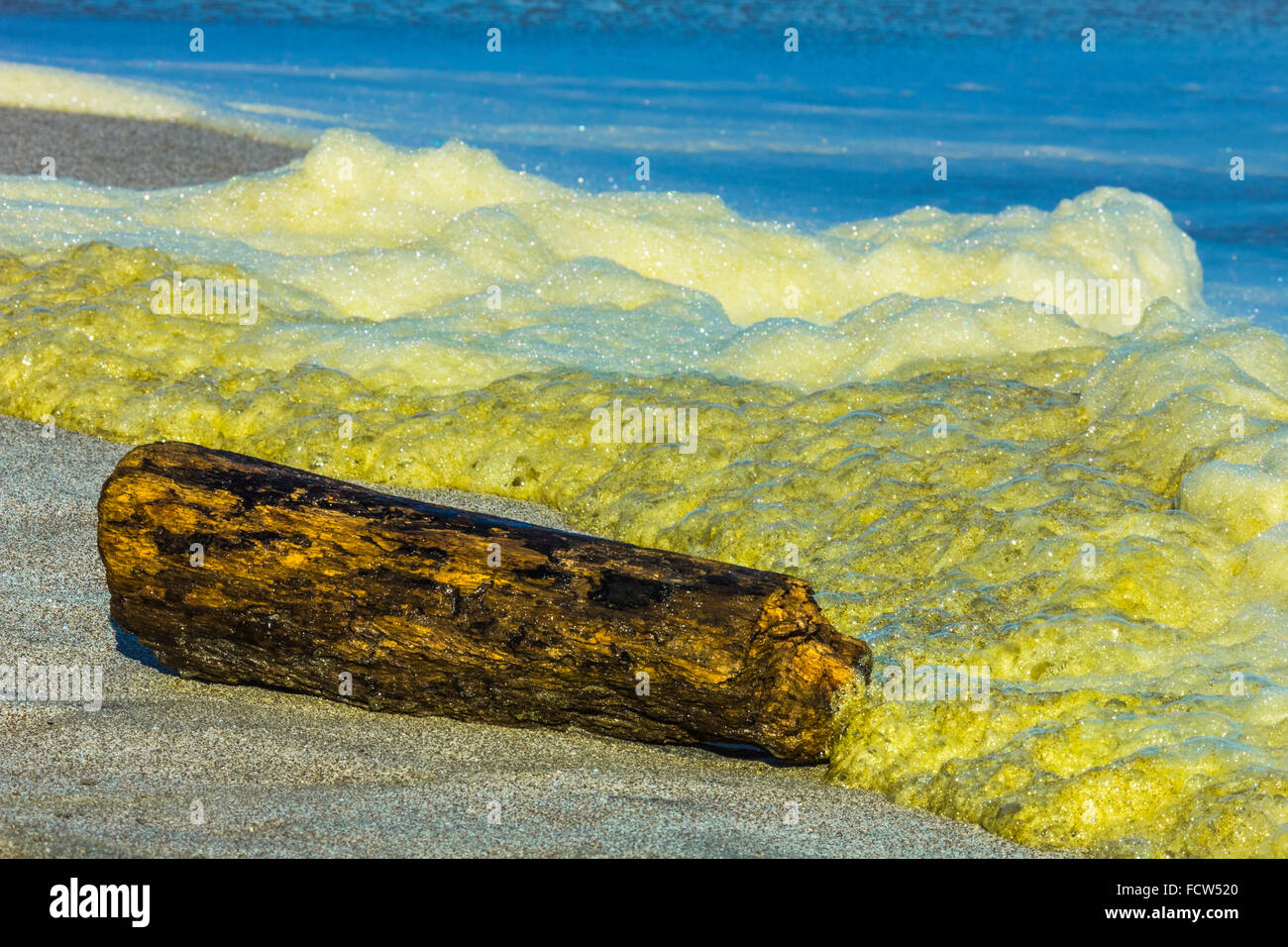 Surf & yellow algal bloom on Montezuma Beach at this resort on Nicoya Peninsula's SE tip; Montezuma, Puntarenas, Costa Rica Stock Photo