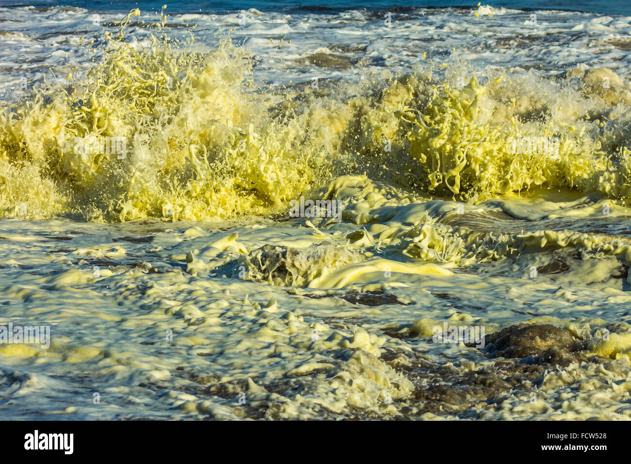 Surf & yellow algal bloom on Montezuma Beach at this resort on Nicoya Peninsula's SE tip; Montezuma, Puntarenas, Costa Rica Stock Photo