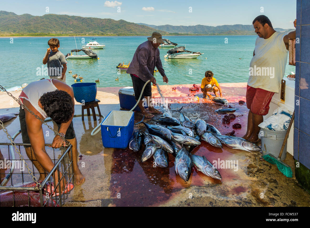 History of tuna fishing hi-res stock photography and images - Alamy