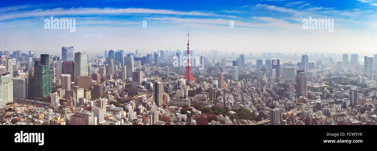 The skyline of Tokyo, Japan with the Tokyo Tower photographed from above. Stock Photo