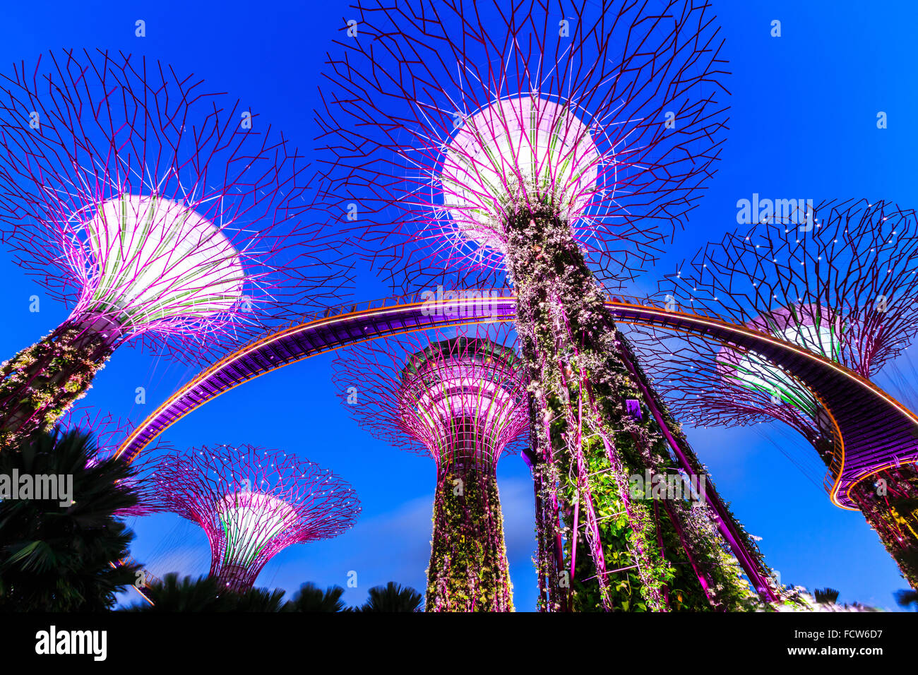 Singapore City, Singapore. Gardens by the Bay at twilight. Stock Photo