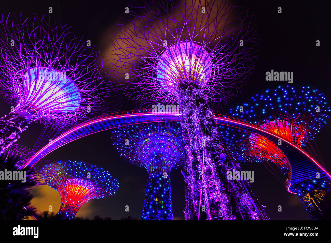Singapore City, Singapore. Gardens by the Bay at night. Stock Photo