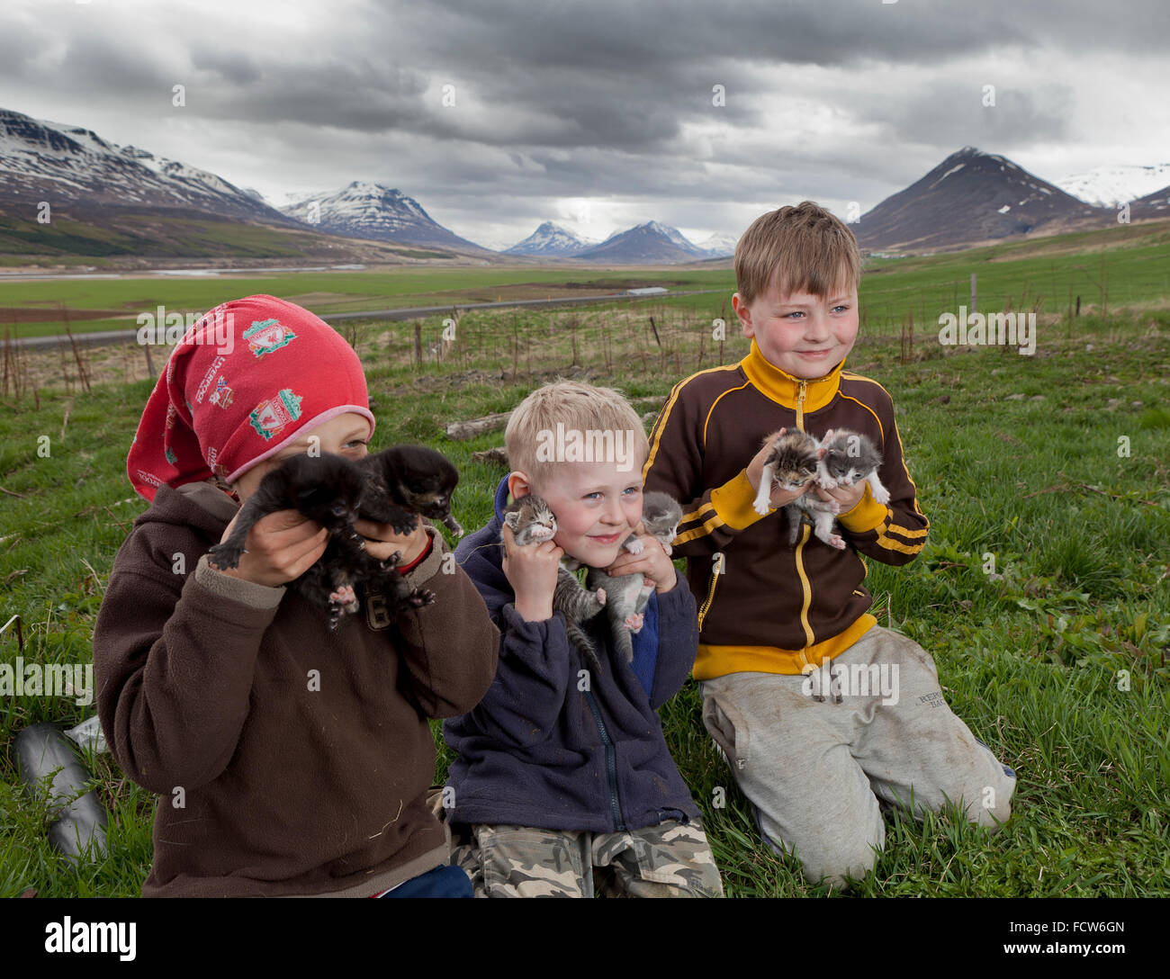 Boys with kittens, Audbrekka farm, Horgardalur valley, Iceland Stock Photo
