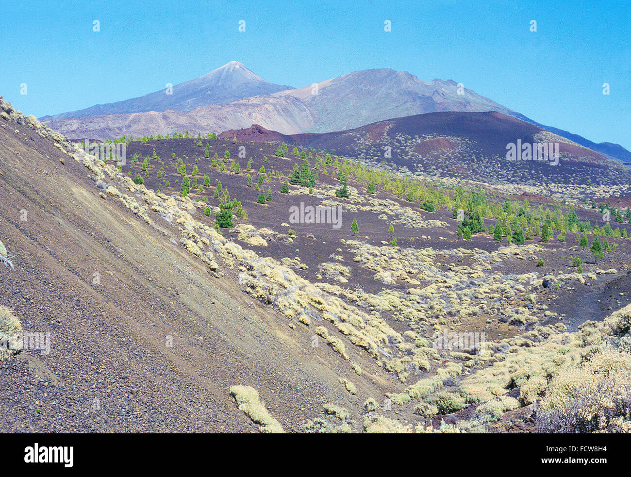 Teide peak and Pico Viejo crater. Teide National Park, Tenerife island, Canary Islands, Spain. Stock Photo