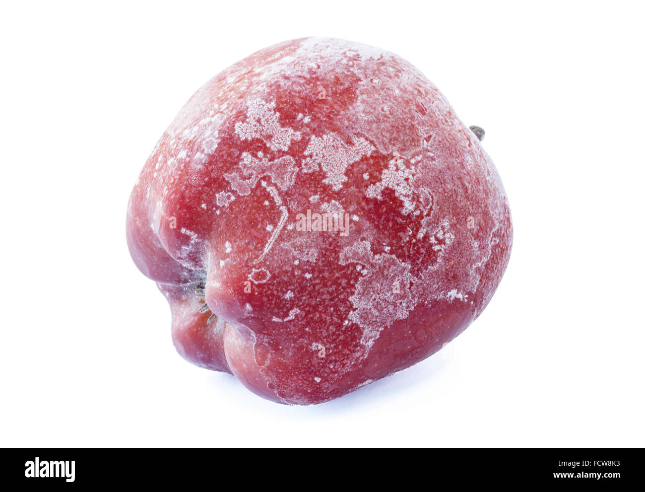red apple covered with hoarfrost over white Stock Photo