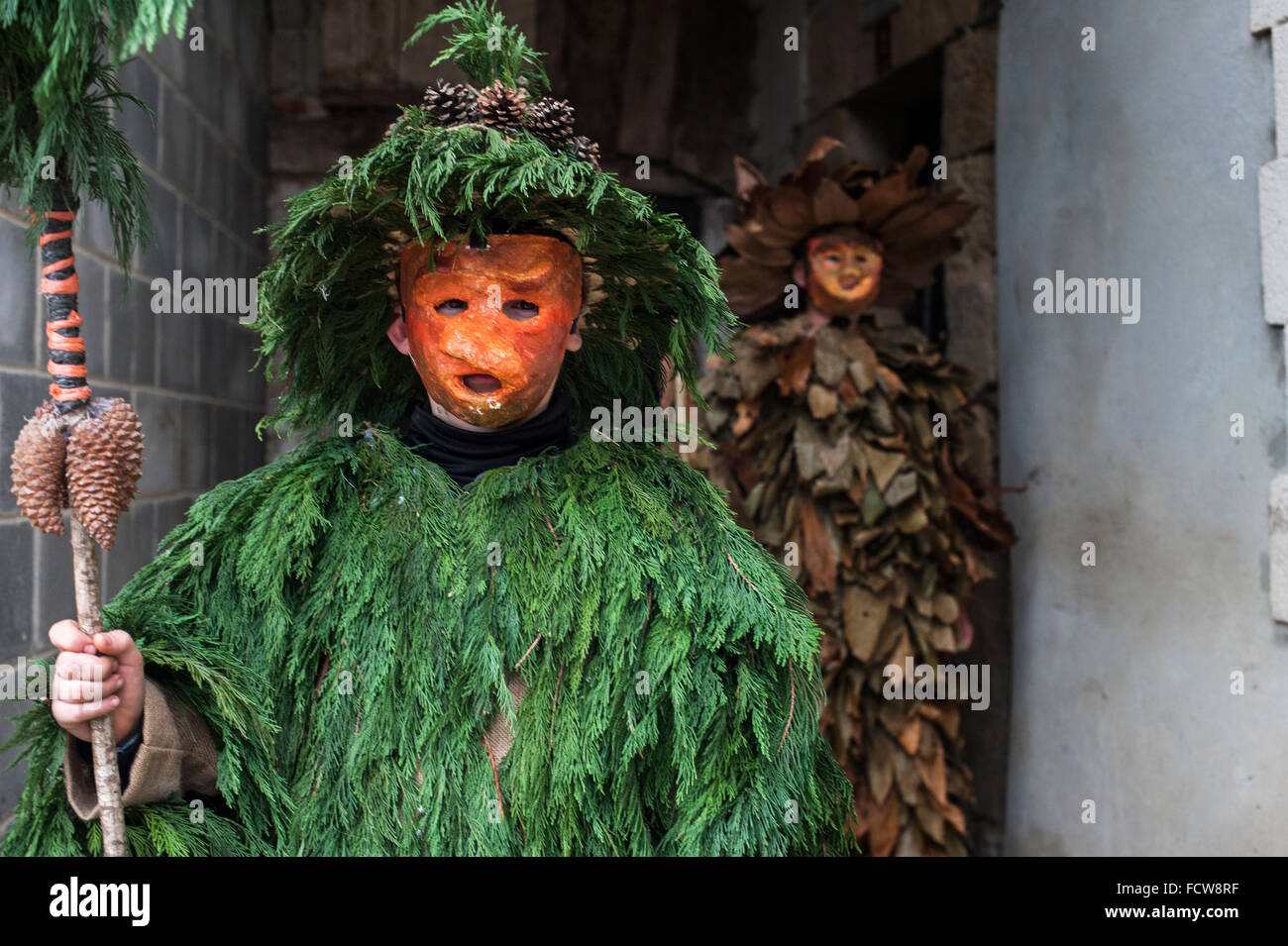 Many of the costumes of the participants in the carnival Vijanera are made from natural elements, branches, leaves, wood, Stock Photo