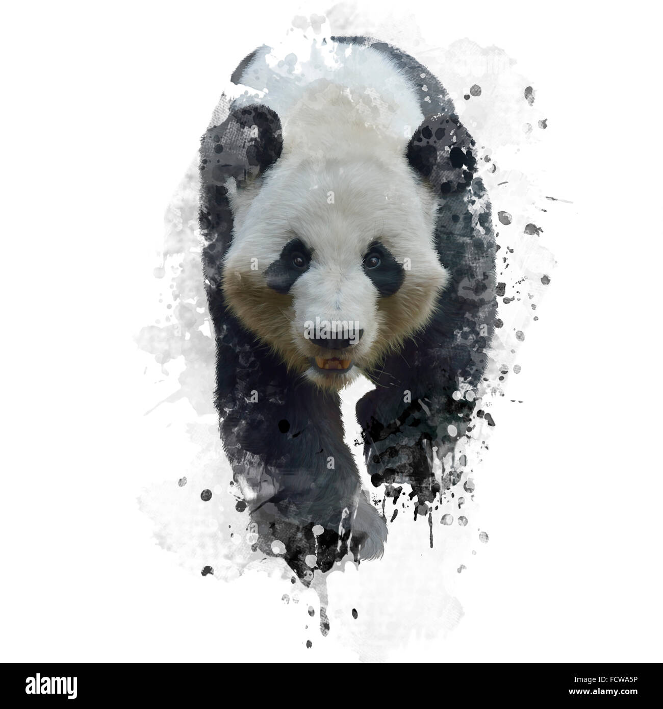 Digital Painting of Giant Panda Bear Stock Photo