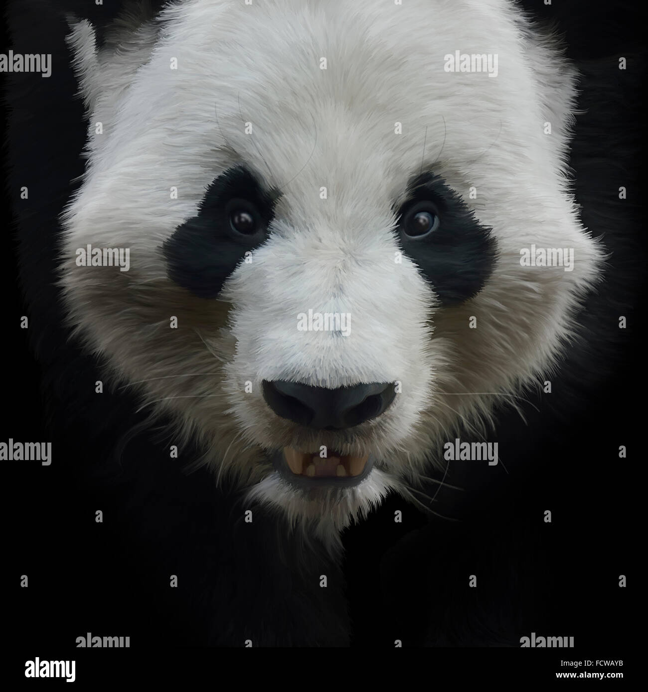 Digital Painting of Giant Panda Bear on Black Background Stock Photo
