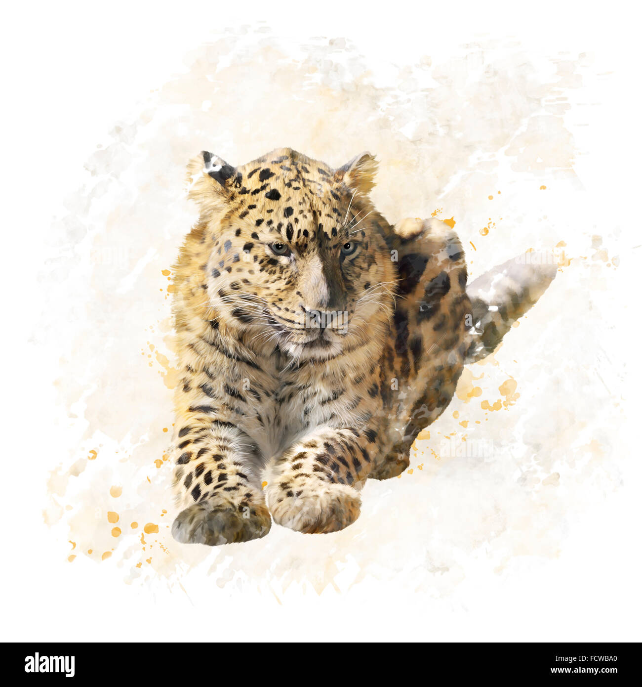 Digital Painting of Leopard Portrait Stock Photo - Alamy
