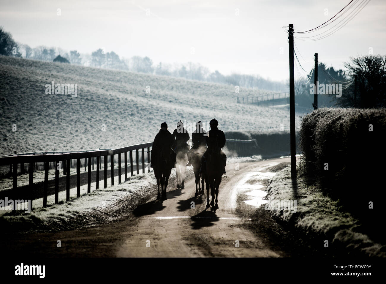 Early morning horse racing training on Lambourn Gallops, Berkshire, UK