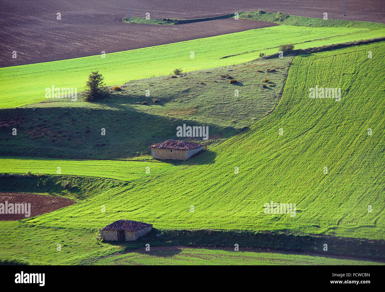 Campo de cultivo desde arriba hi-res stock photography and images - Alamy