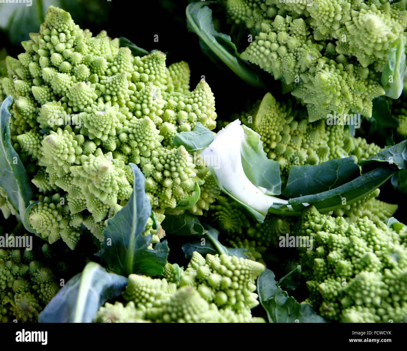 Romanesco Kohl Samen – 150 Samen, Samenfest, Hohe Keimfähigkeit, Besondere Blumenkohl-Varietät