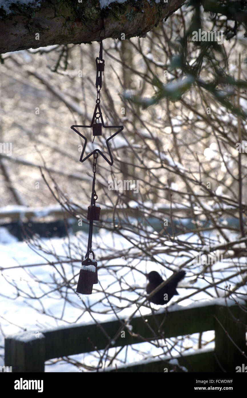 Wind chime and blackbird in snowy scene Stock Photo