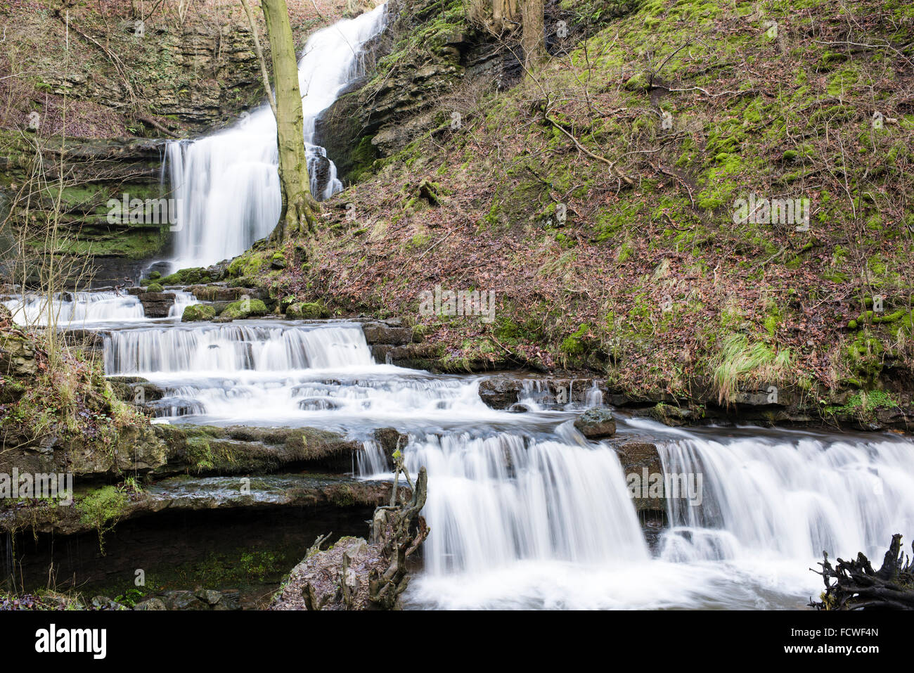 Scaleber Force waterfall in full flow, Settle, Yorkshire Dales National Park, England, UK, January 2016 (2) Stock Photo