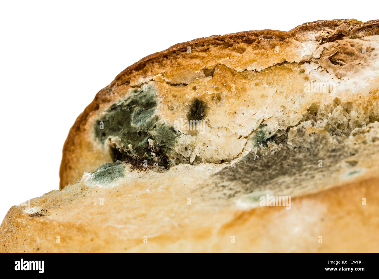 Moldy bread close-up, isolated on white background Stock Photo - Alamy
